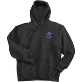 Carolina Thunder Ultimate Cotton - Pullover Hooded Sweatshirt