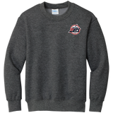 Metro Jets Youth Core Fleece Crewneck Sweatshirt